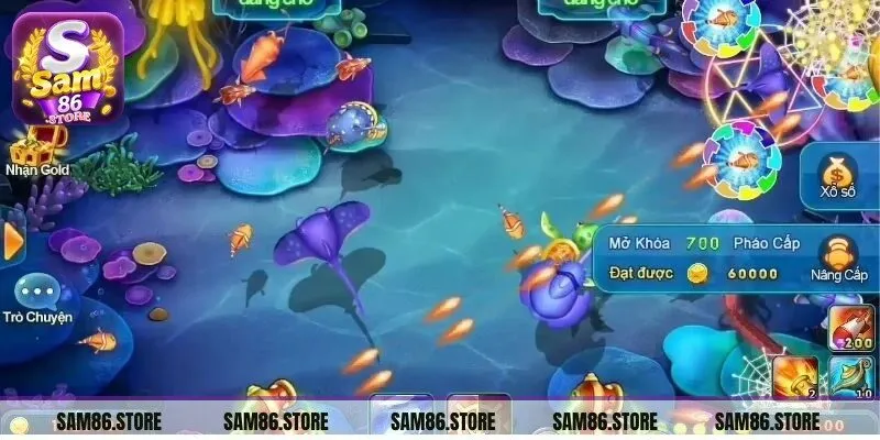 Luôn để ý đến các loài cá đặc biệt để có cơ hội nhận thưởng lớn